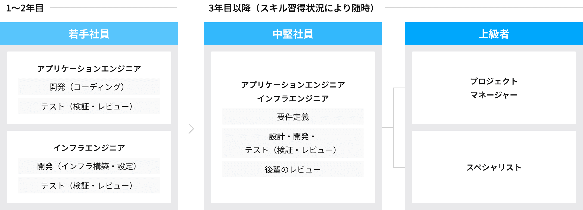 1〜2年目の若手社員はアプリケーションエンジニアやインフラエンジニアとして開発・テストを行う。3年目以降は中堅社員として要件定義、設計・開発・テスト、後輩のレビューを行う。上級者はプロダクトマネージャー、スペシャリストを担当。